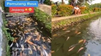 Pamulang Residents Turn Drain Into Koi Fish Pond