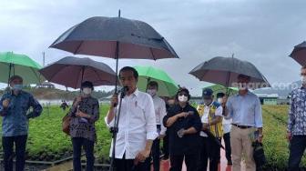 Jokowi Pushes Mining and Oil Palm Plantation to Build Plant Nurseries