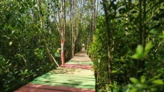 Riau Plants 200,000 Mangrove Seeds on World Mangrove Day