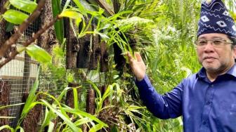 Ferry Hoesain, Man Who Saves Kalimantan Orchid