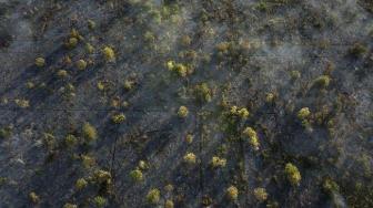 Indonesia Claims Fewer Hotspots in Concessions