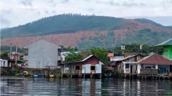 In 12 Years, East Luwu Lost 101,313 Acres of Forest Due to Nickel Mining