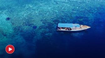 Feel the Glimpse of Sea Life in Bunaken Marine Park