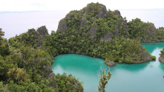 Raja Ampat, an ultimate paradise in West Papua, Indonesia