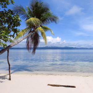 5 Reasons Why You Should Visit Raja Ampat, West Papua