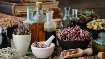 Indonesia to Nationally Develop Herbal Medicine to Reduce Drug Import