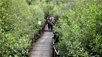 5 Indonesia's Hidden Gems to Visit on the Weekend: Carsome Recommendation