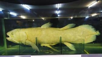 Zoologicum Bogoriense Has More Than 2 Million Specimens