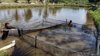North Aceh Flood Causes US$178,570 Loss in Fisheries