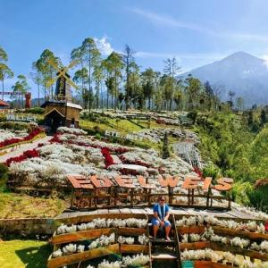 5 Hidden Gems in Bali to Revive Your Mind and Energy