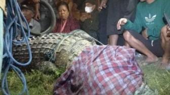 Locals Finally Remove Tire Stuck in a Crocodile's Neck