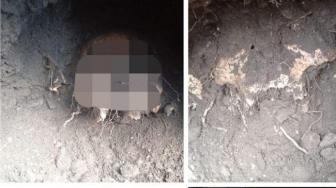 Allegedly Japanese Skull Found While Digging House Foundation in Sikka
