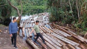 Illegal Logging Occurs in 33 Hectares of Protected Forest in Kuansing