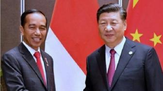 President Xi, Jokowi Discuss G20, Ukraine Crisis on the Phone