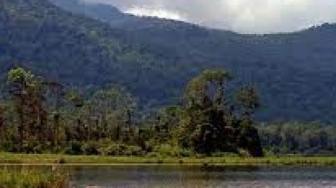 More Than 44,000 Hectares of Forest in Central Sulawesi Degraded