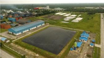 Indonesia to Boost the Development of Palm Oil Waste Power Plant