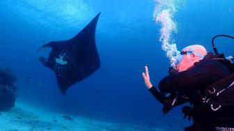 1,600m2 of Raja Ampat's Coral Reef, Mangrove Rehabilitated in ICCTF Program