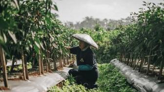 Agritech Startup Crowde on a Mission to Support Farmers Through Funding