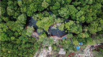 This Regency Plans to Protect One Million Hectares of Peatland