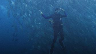 Diving with 1000 Fishes in Wakatobi Marine Park