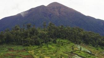 Two Rangers Die During Patrol in Kerinci Seblat National Park