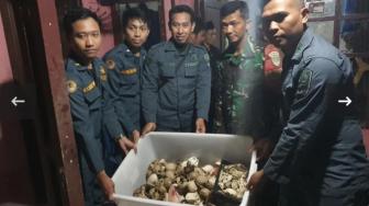 Indonesia Busts Illegal Trade of Protected Animal Parts, Arrests Two