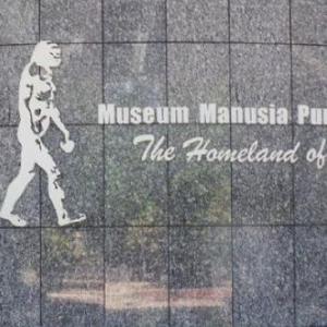 From Fossils to Forests: Discovering Sangiran, Patiayam, and Java's Nature