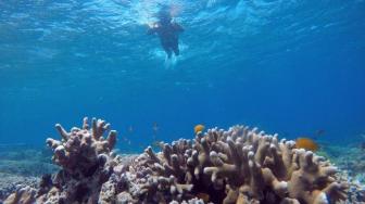 Banyuwangi, East Java: Indonesias Clean and Green Tourism Star