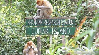 Pulau Curiak: A Conservation-Driven Ecotourism Gem in South Kalimantan