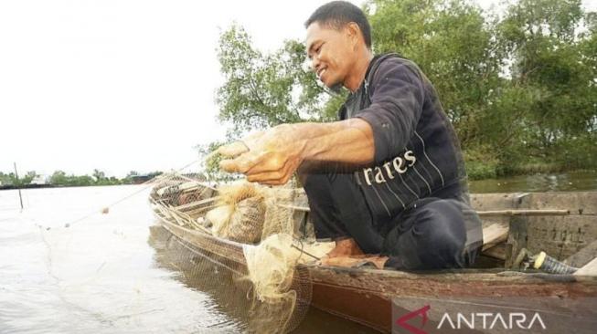 Fishermen's activities caught the fish on Barito River's stream nearby Curiak Island [ANTARA/HO-SBI]