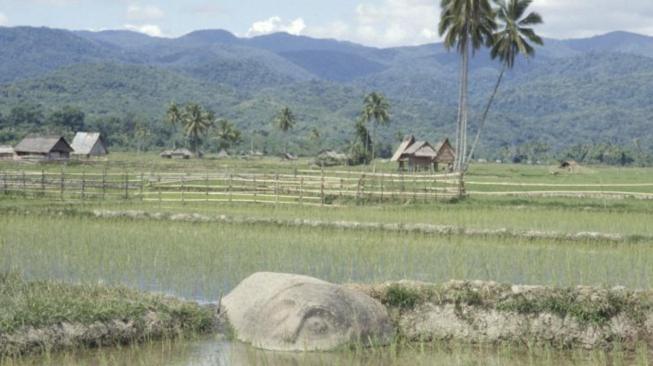 A megalith statue within a village at Lore Lindu [commons.wikimedia.org]