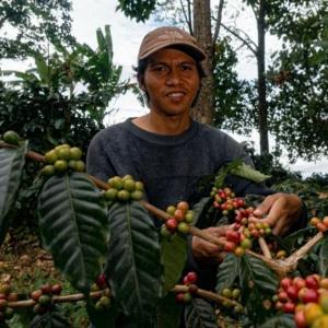 From City Lights to Coffee Hills: A Graduates Return to the Soil