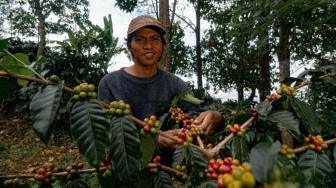 From City Lights to Coffee Hills: A Graduates Return to the Soil