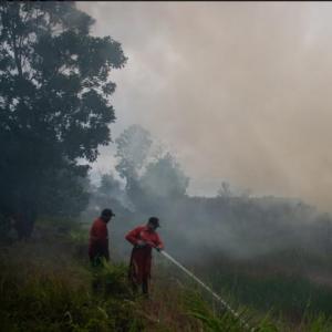 Kalimantan fires: Indonesian Member of Parliament urges government to step up emergency response