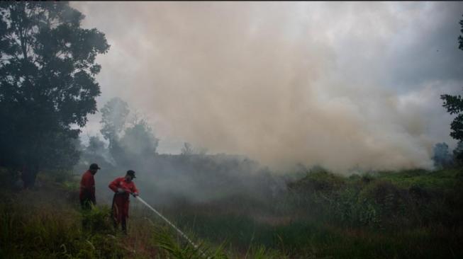 Kalimantan fires: Indonesian Member of Parliament urges government to step up emergency response